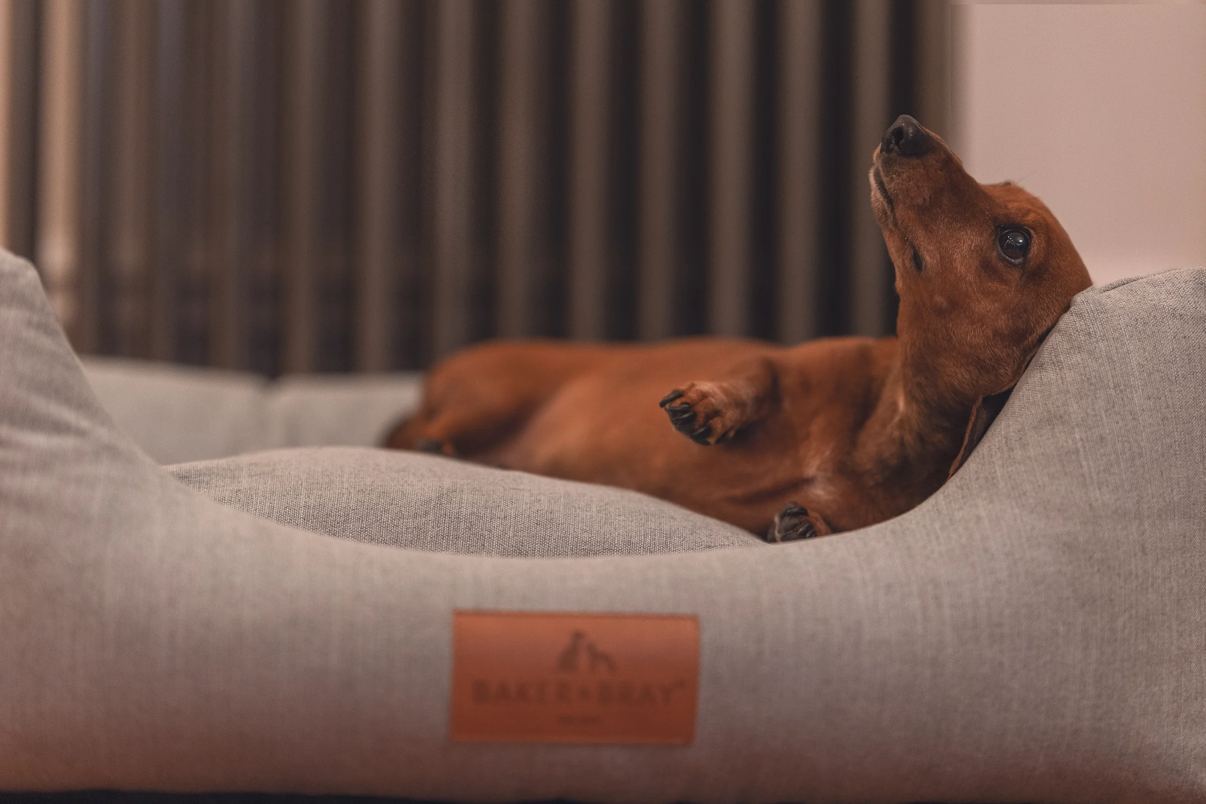 Welcome to Our Store