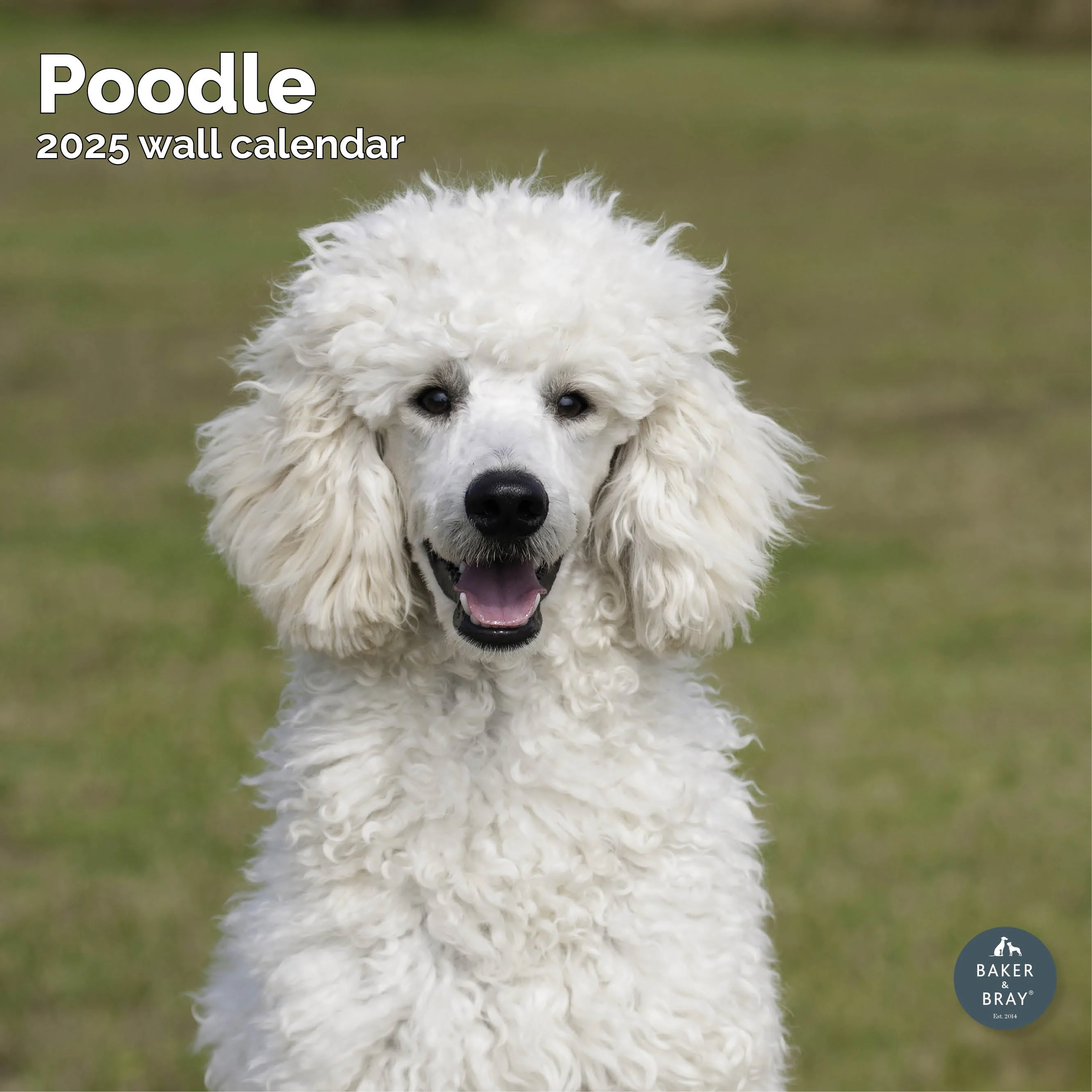 2026 Calendar - Image 108