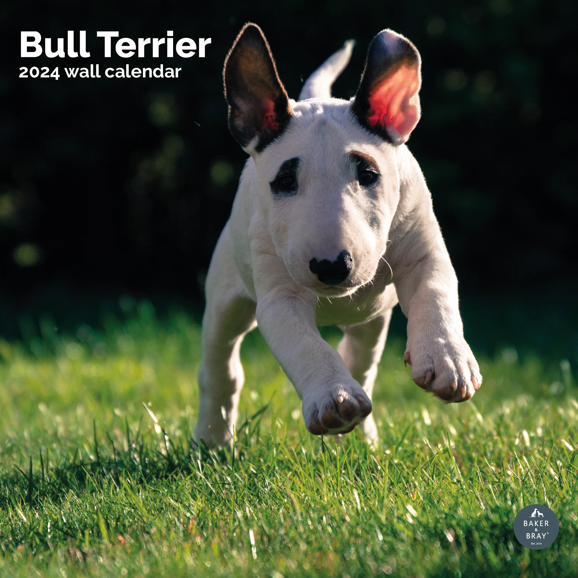 2026 Calendar - Image 12