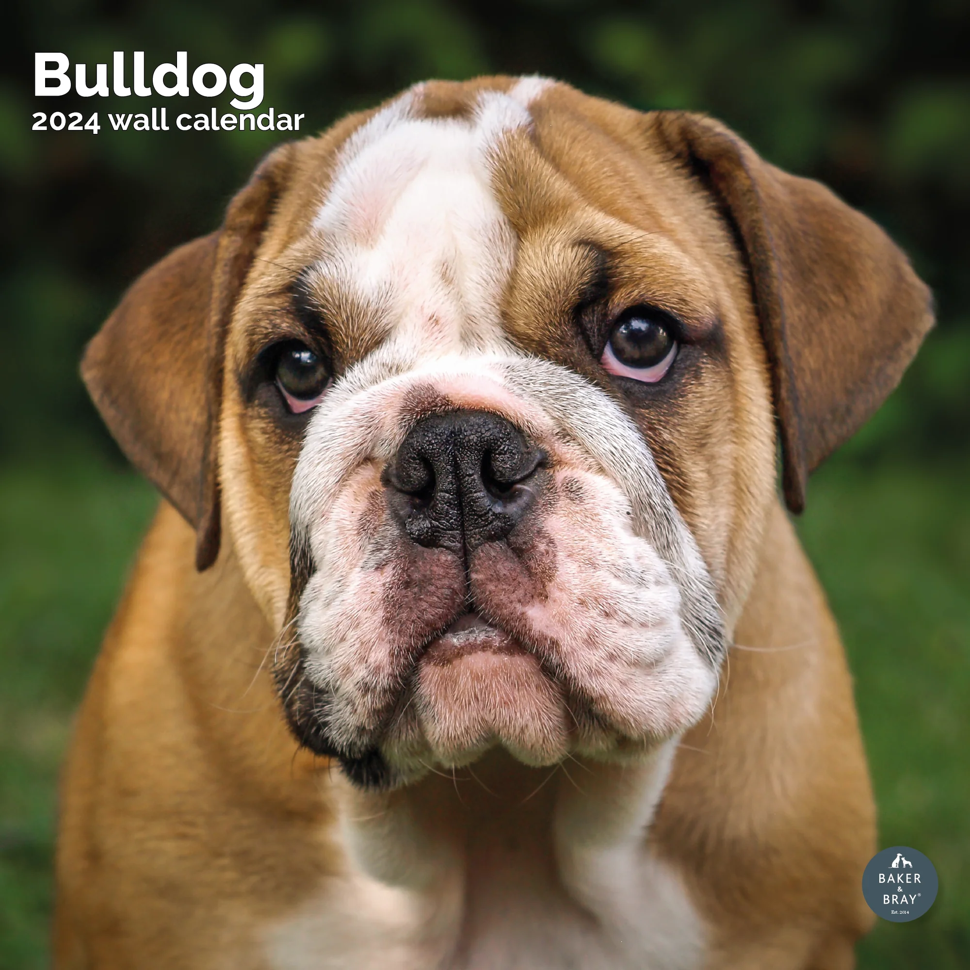 2026 Calendar - Image 13