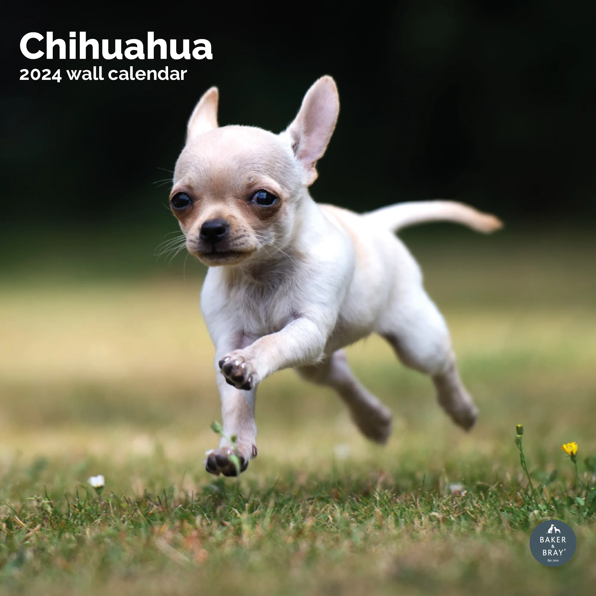 2026 Calendar - Image 16