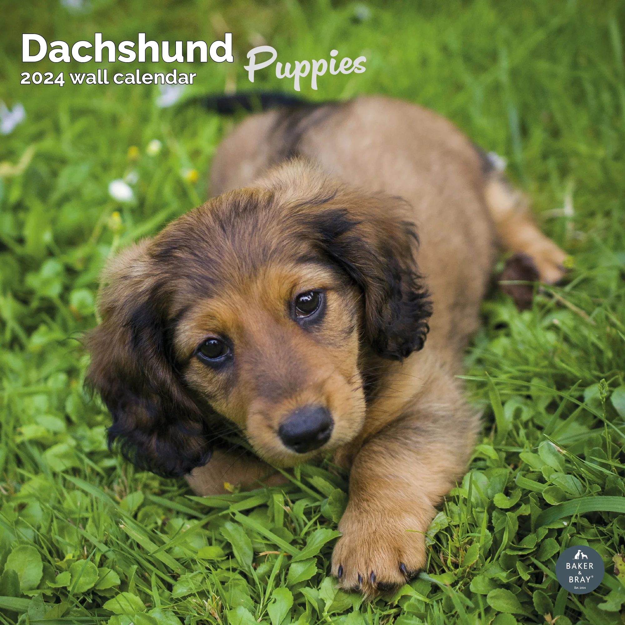 2026 Calendar - Image 21