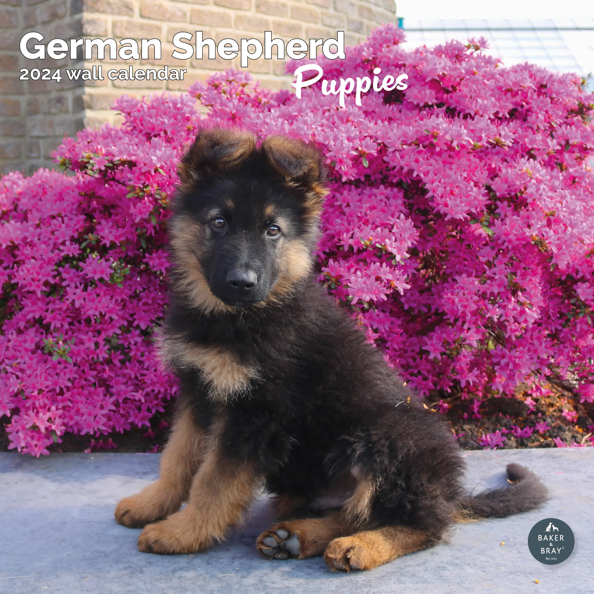 2026 Calendar - Image 25