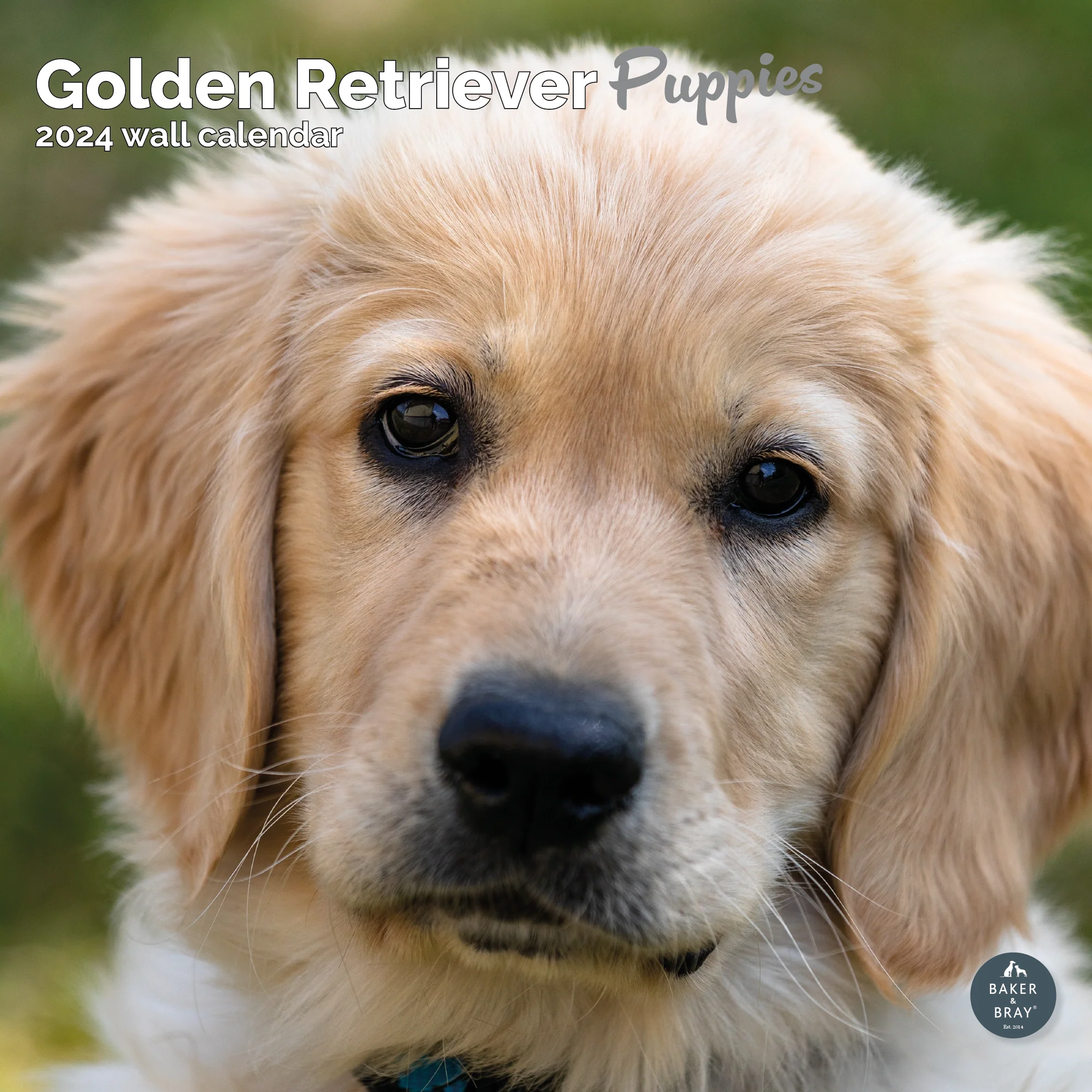 2026 Calendar - Image 28