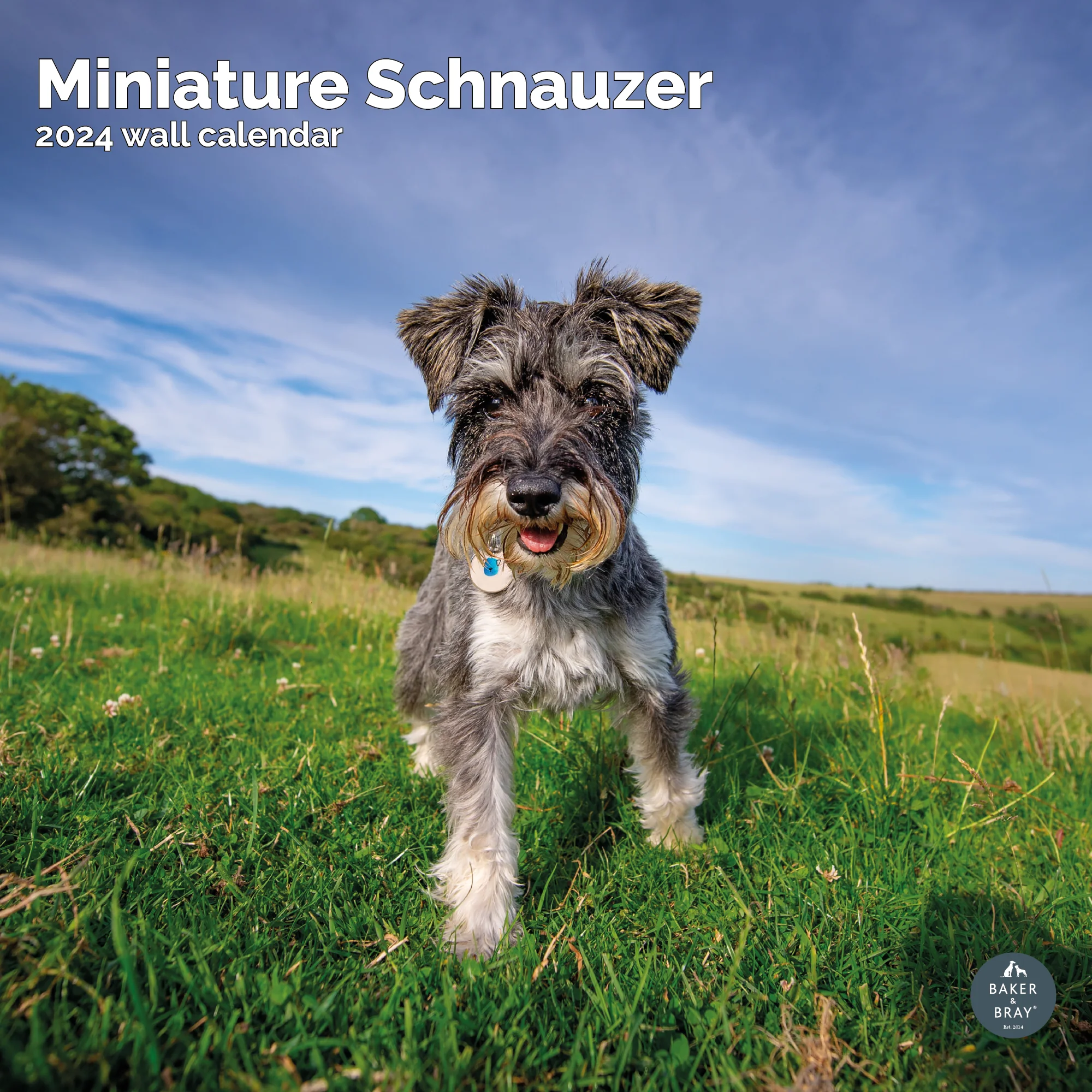 2026 Calendar - Image 37