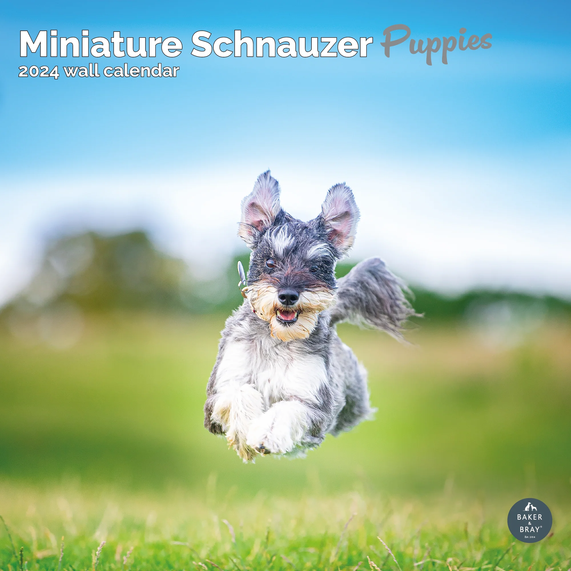 2026 Calendar - Image 38