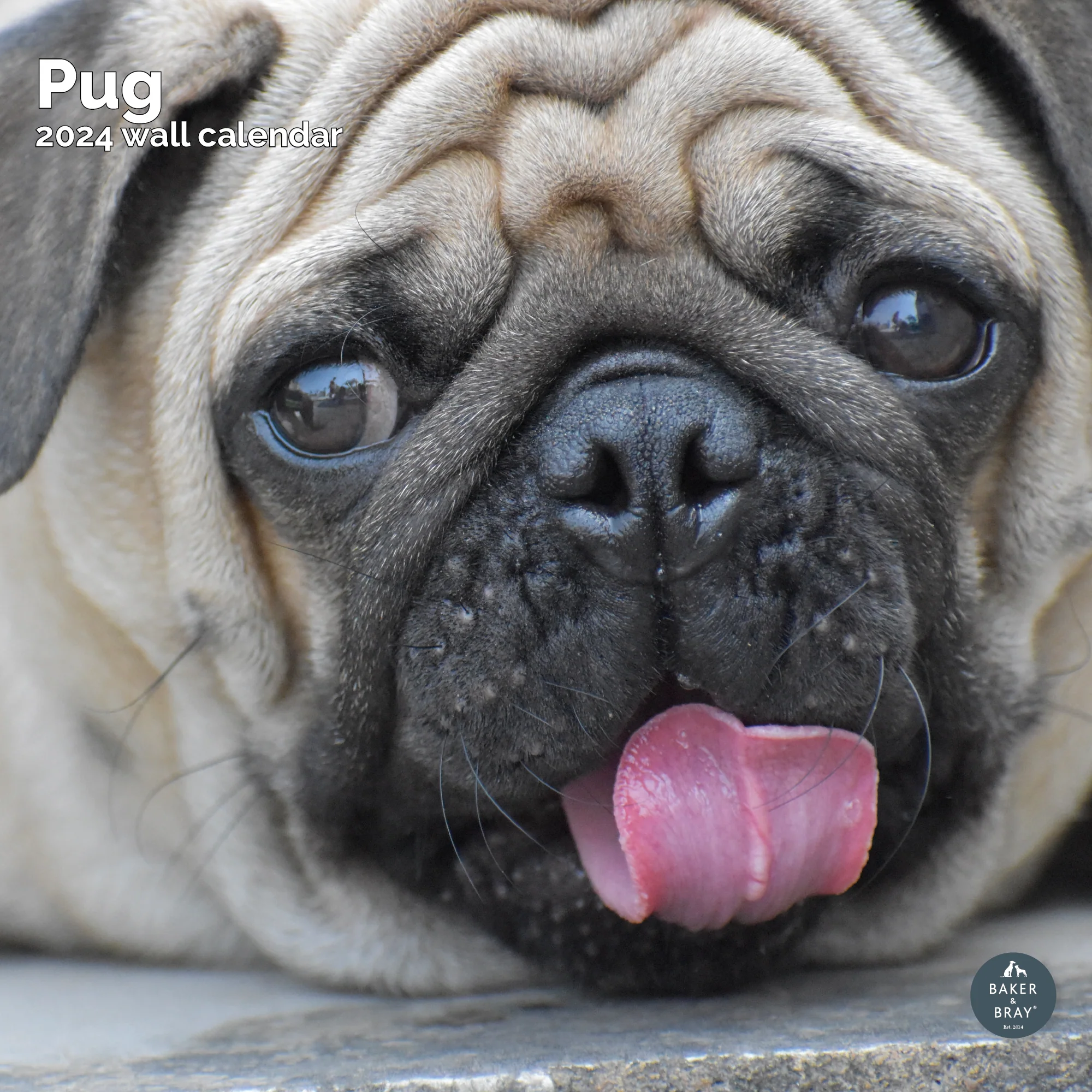 2026 Calendar - Image 39