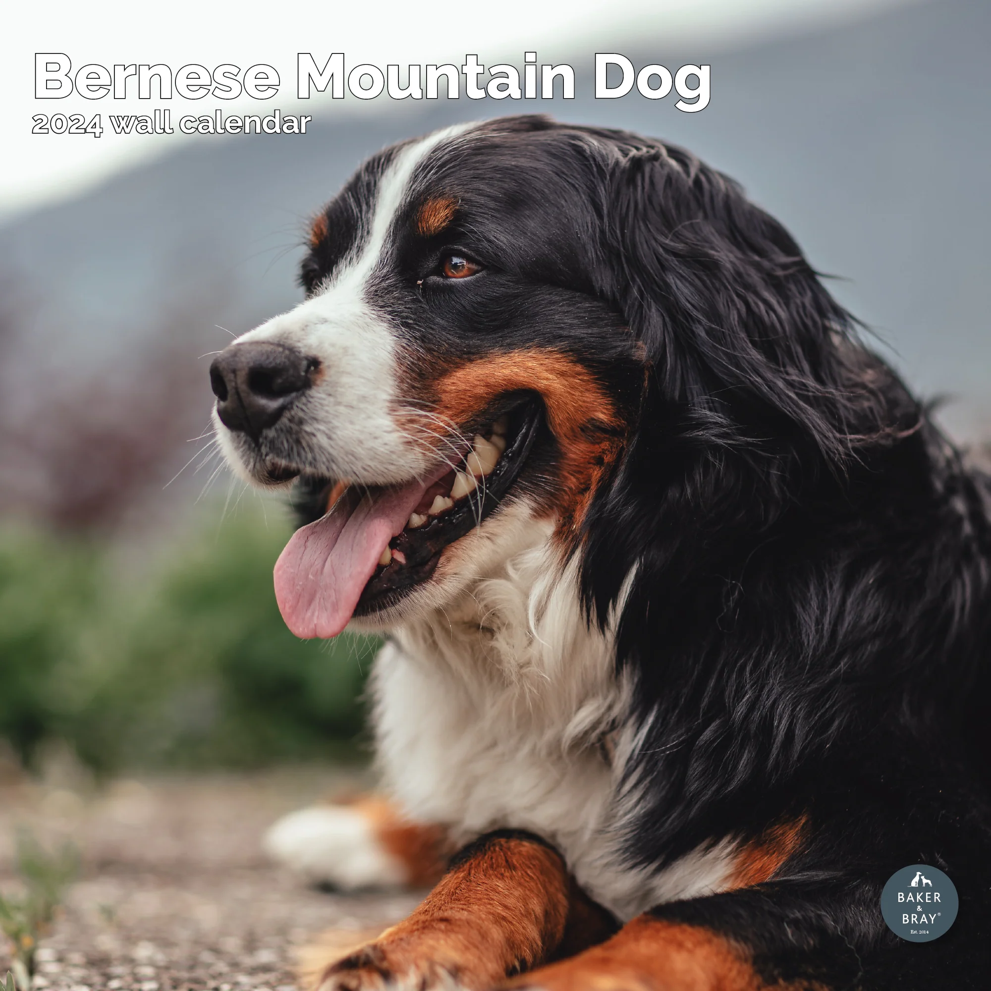 2026 Calendar - Image 4