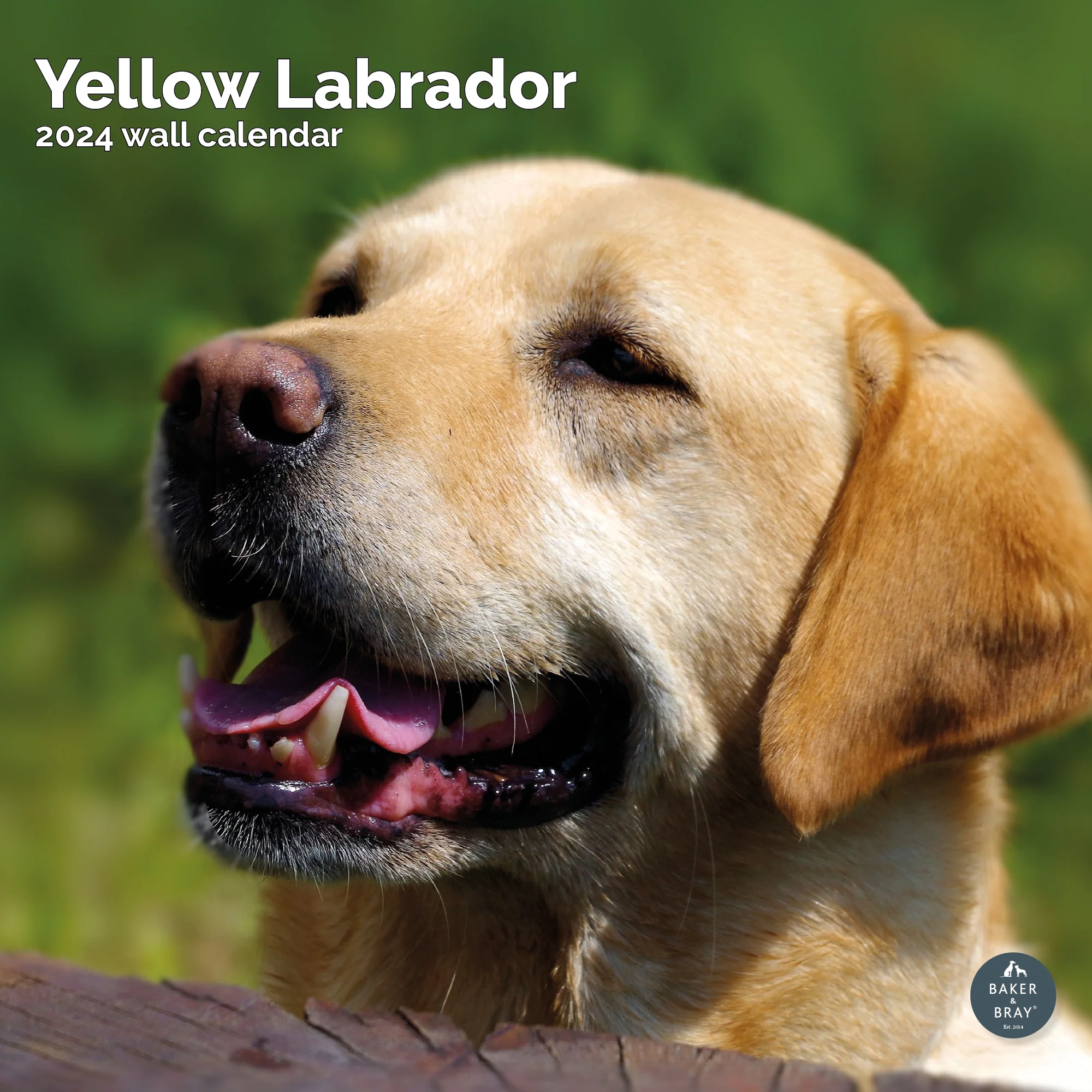 2026 Calendar - Image 46