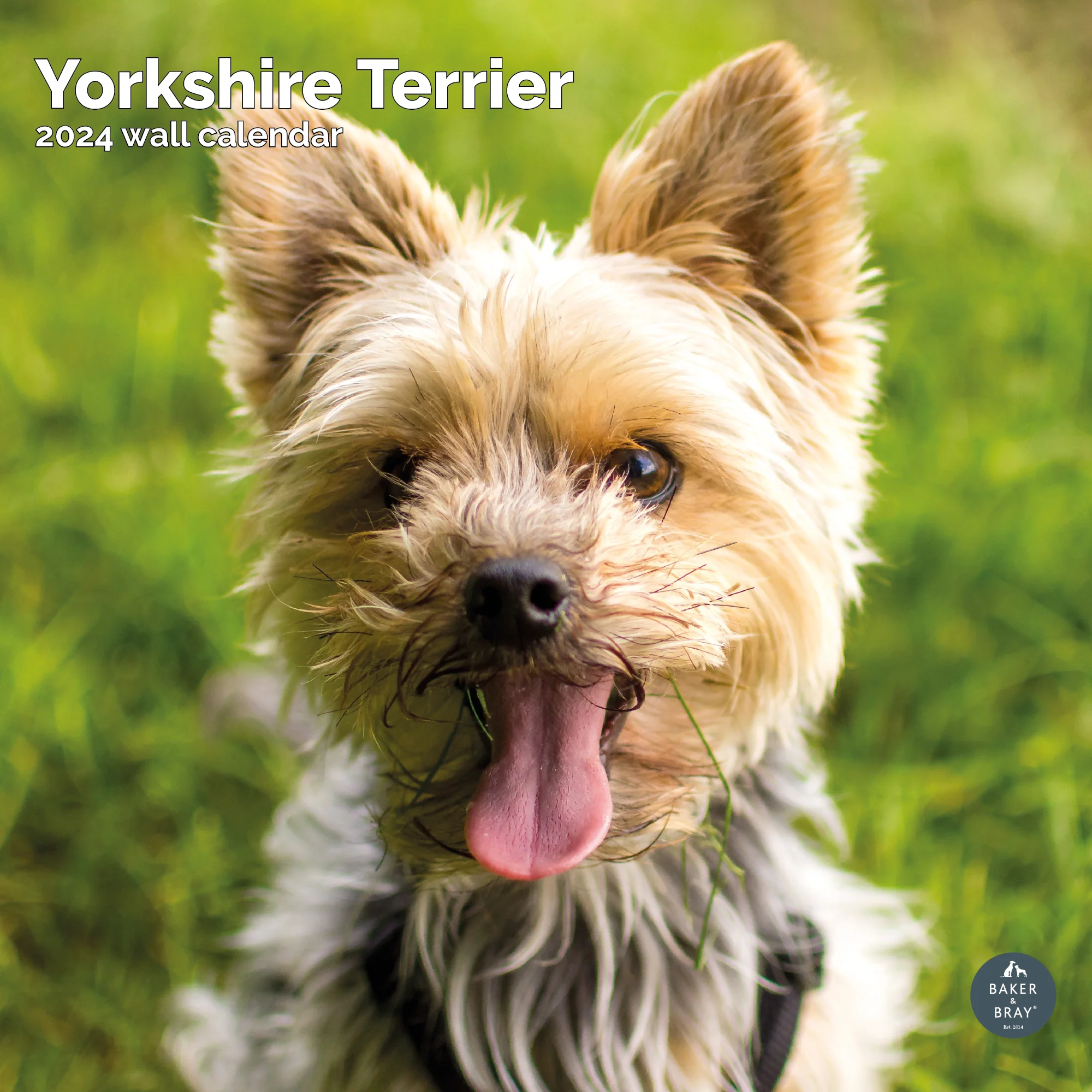 2026 Calendar - Image 47