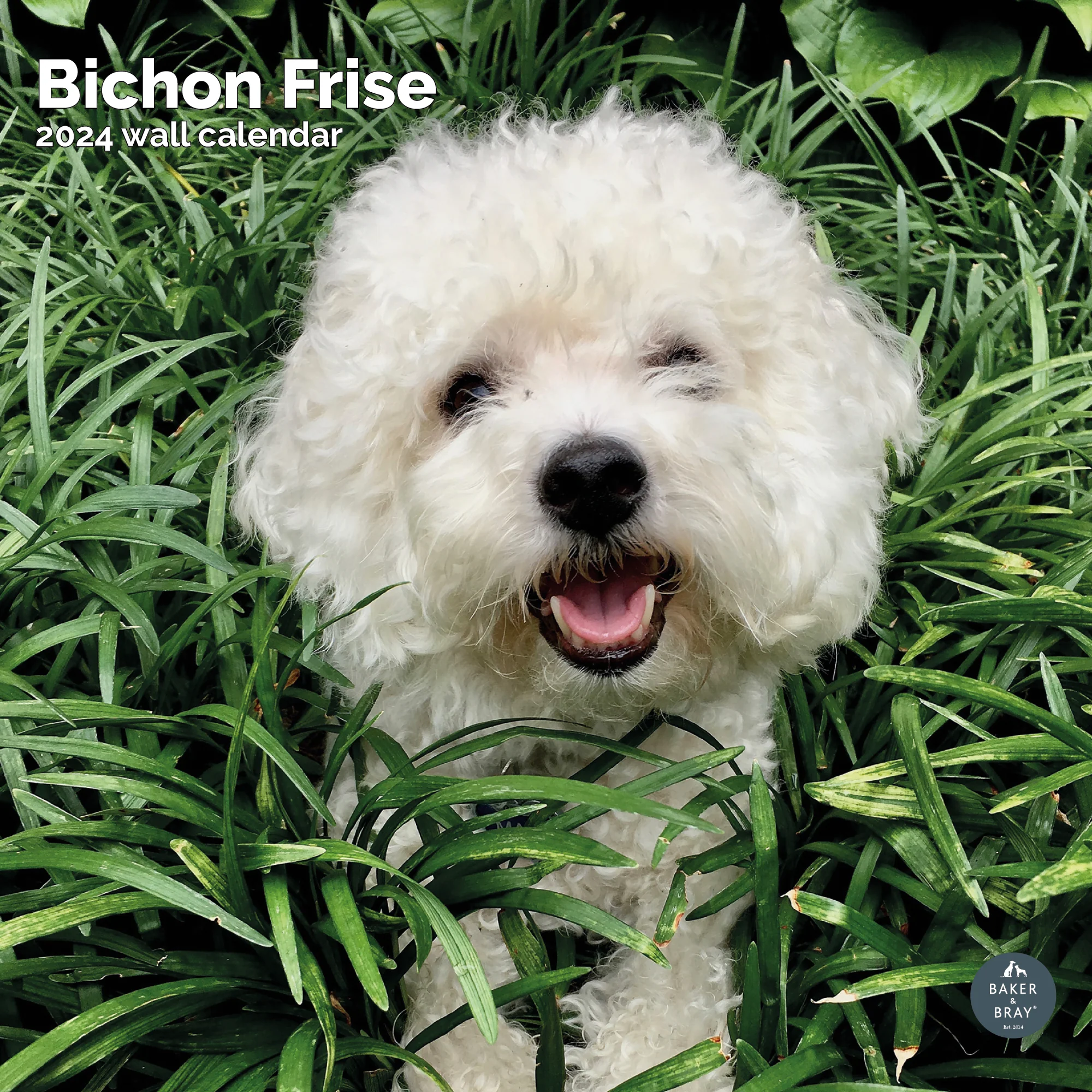 2026 Calendar - Image 49