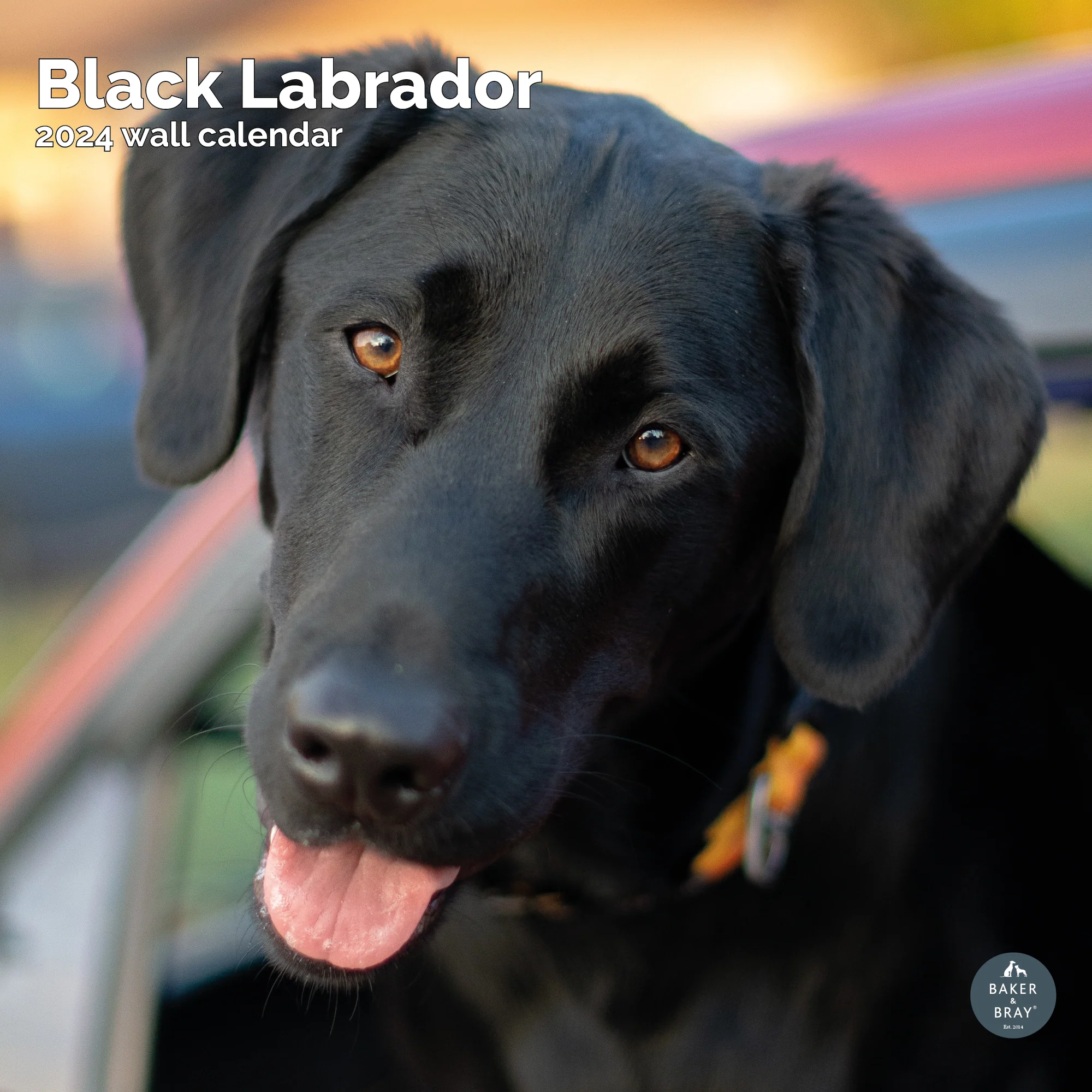 2026 Calendar - Image 7