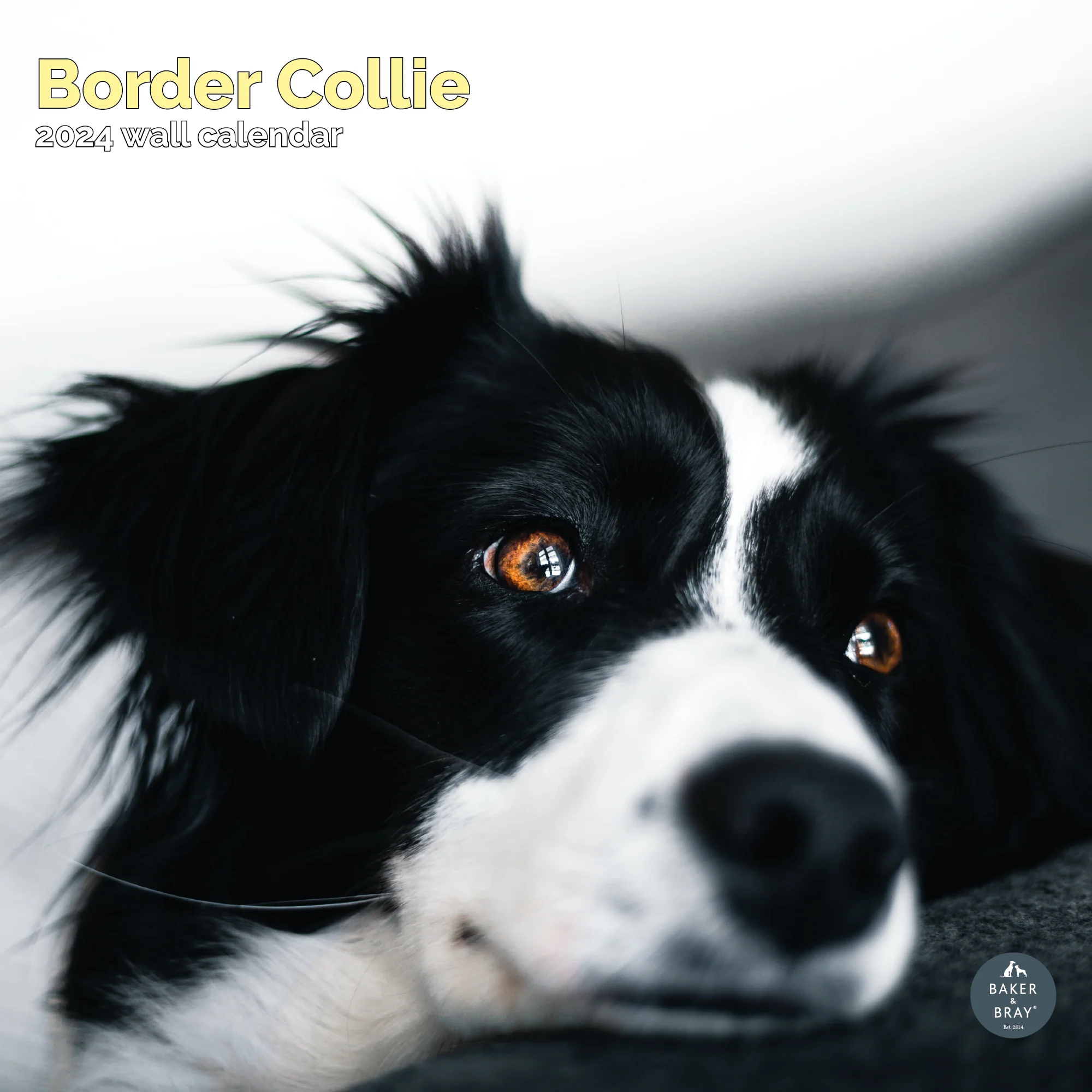 2026 Calendar - Image 8