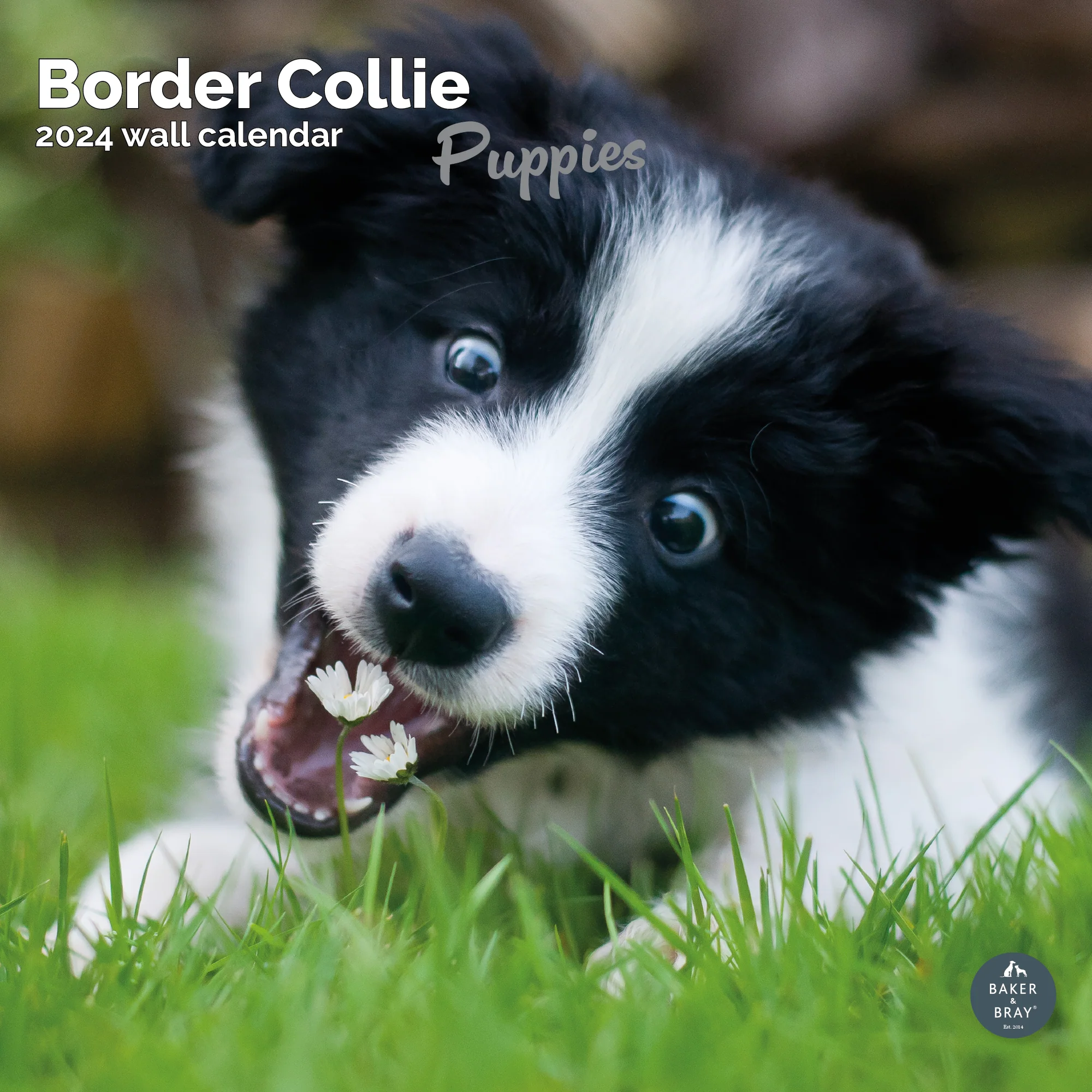 2026 Calendar - Image 9