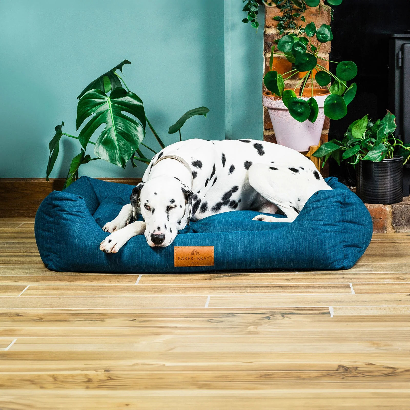 The Ultimate <br>Eco Friendly Orthopaedic Luxury Dog Beds <br>RISK FREE FOR 30 NIGHTS