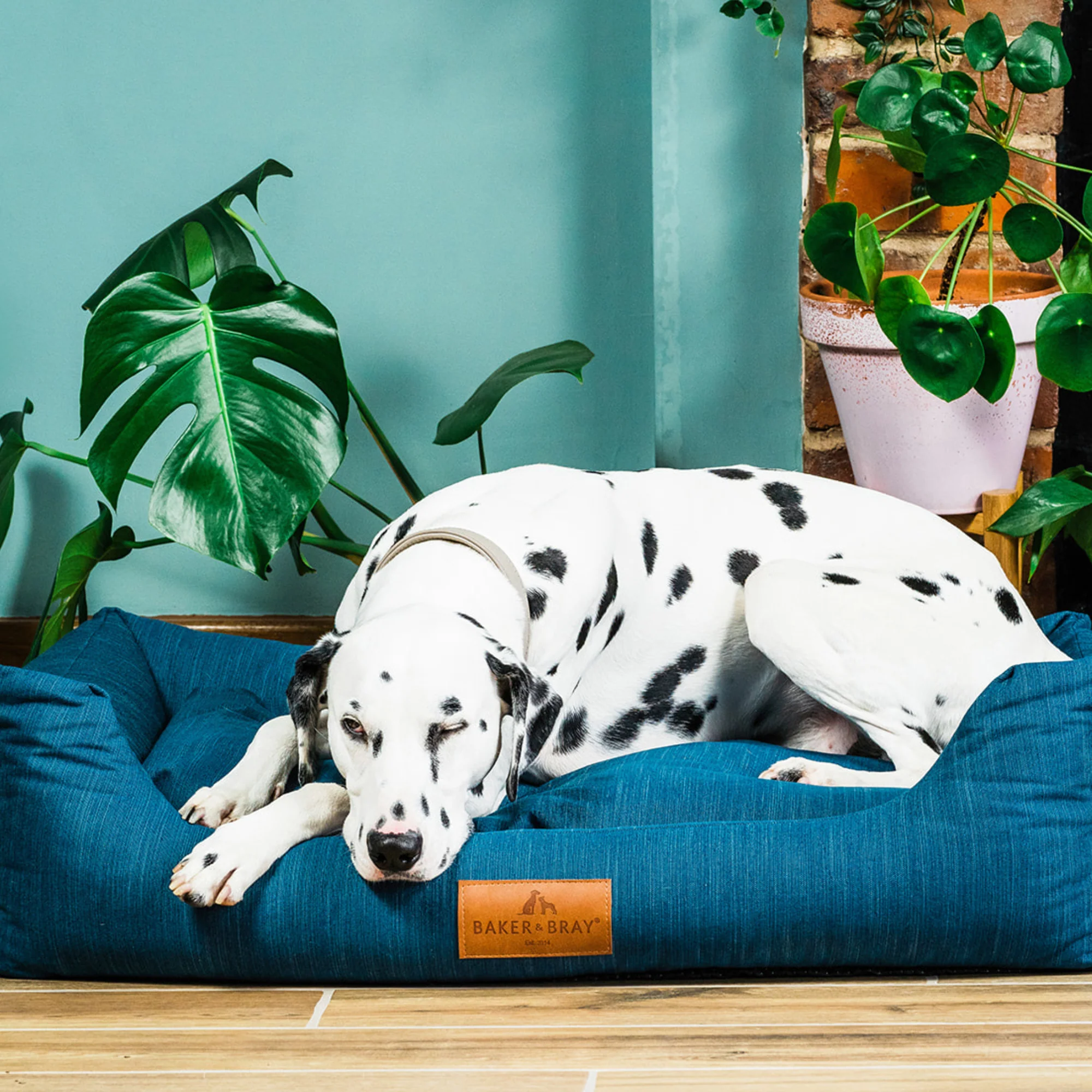 The Ultimate - Eco Friendly Orthopaedic Luxury Dog Bed, Teal Blue-Green - Image 17