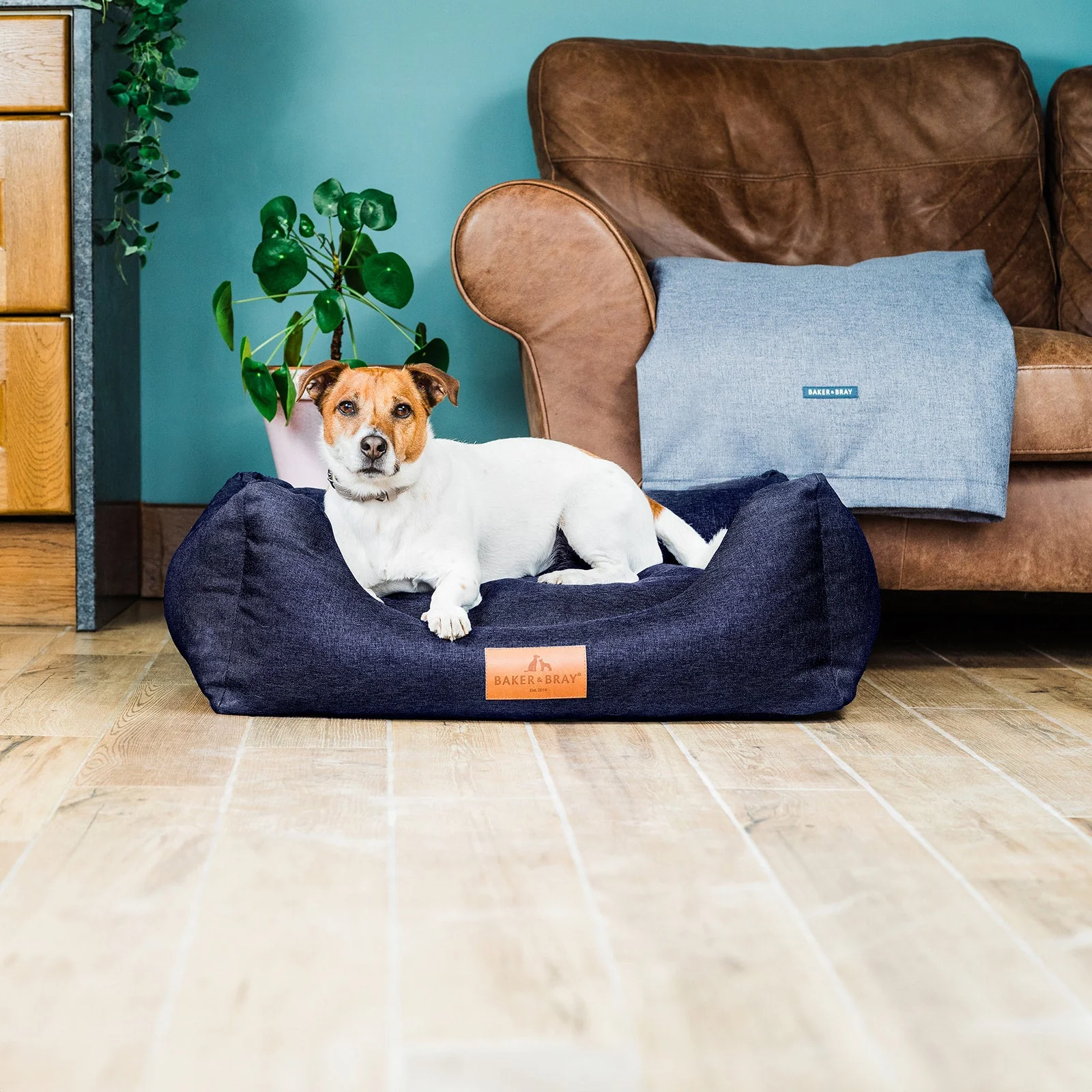 The Ultimate - Eco Friendly Orthopaedic Luxury Dog Bed, Navy Blue - Image 13