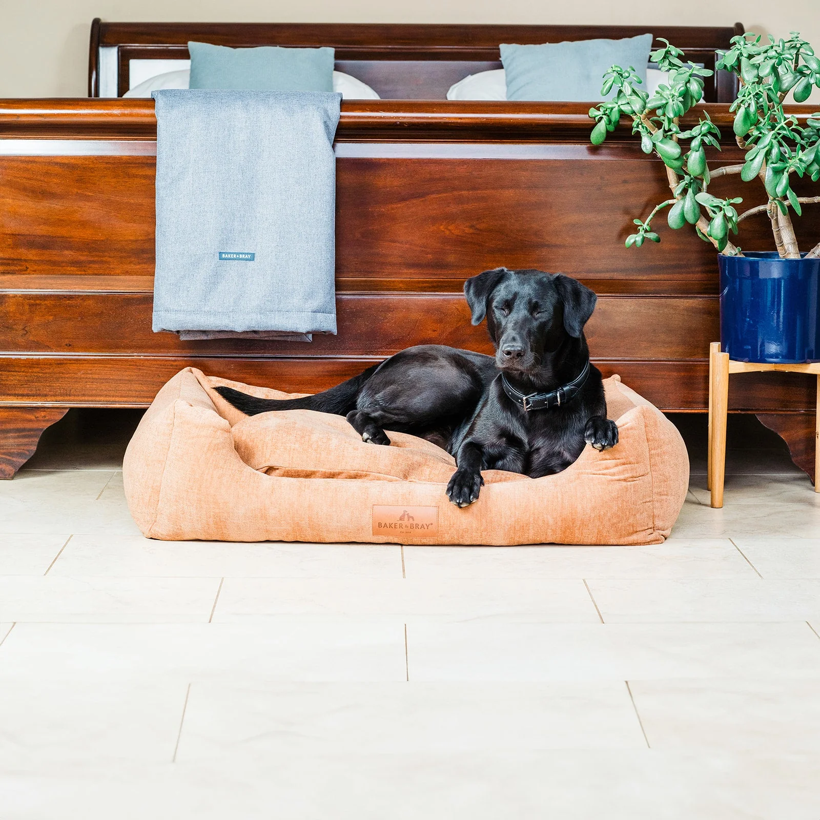 The Ultimate - Eco Friendly Orthopaedic Luxury Dog Bed, Peach Fuzz - Image 5