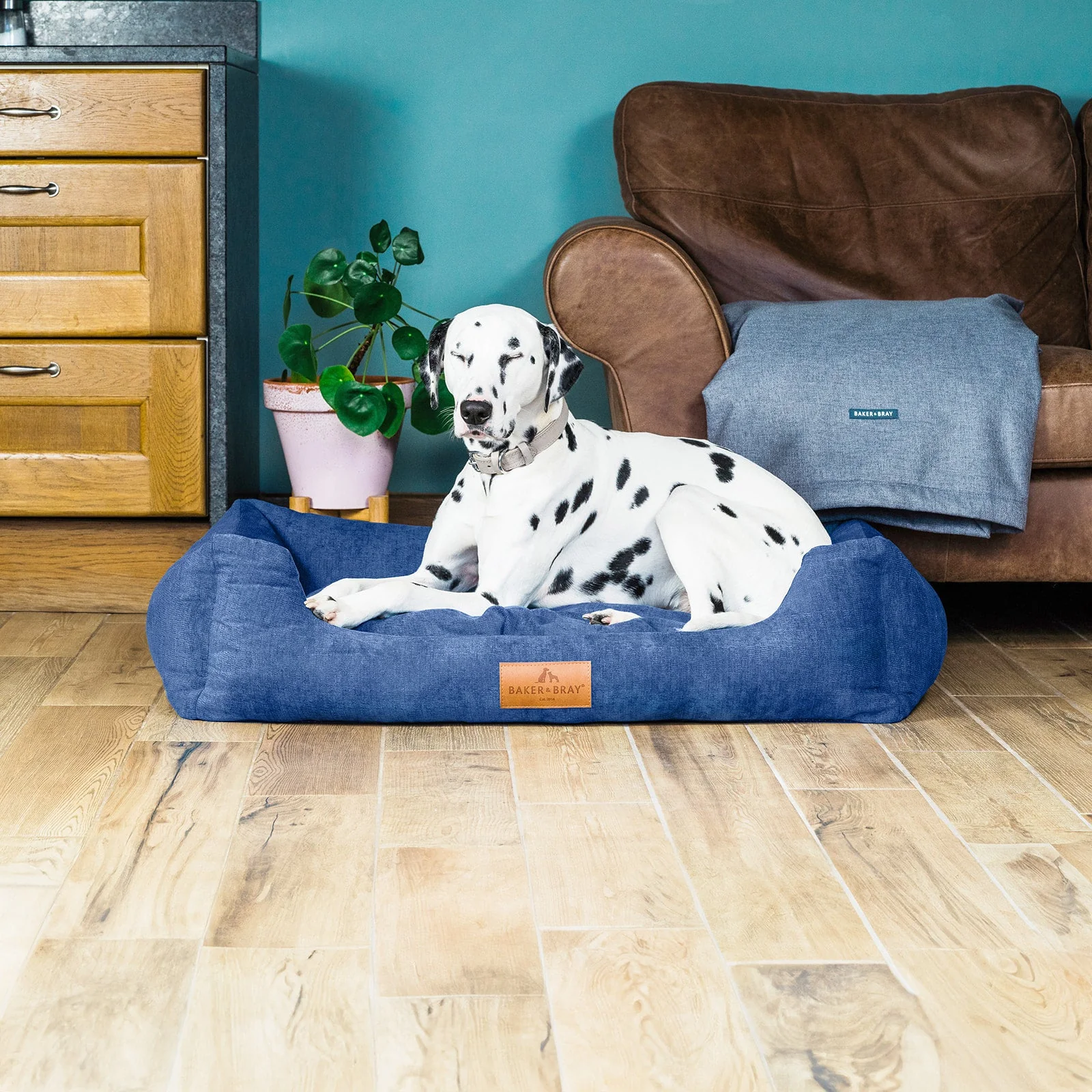 The Ultimate - Eco Friendly Orthopaedic Luxury Dog Bed, Regal Blue - Image 5
