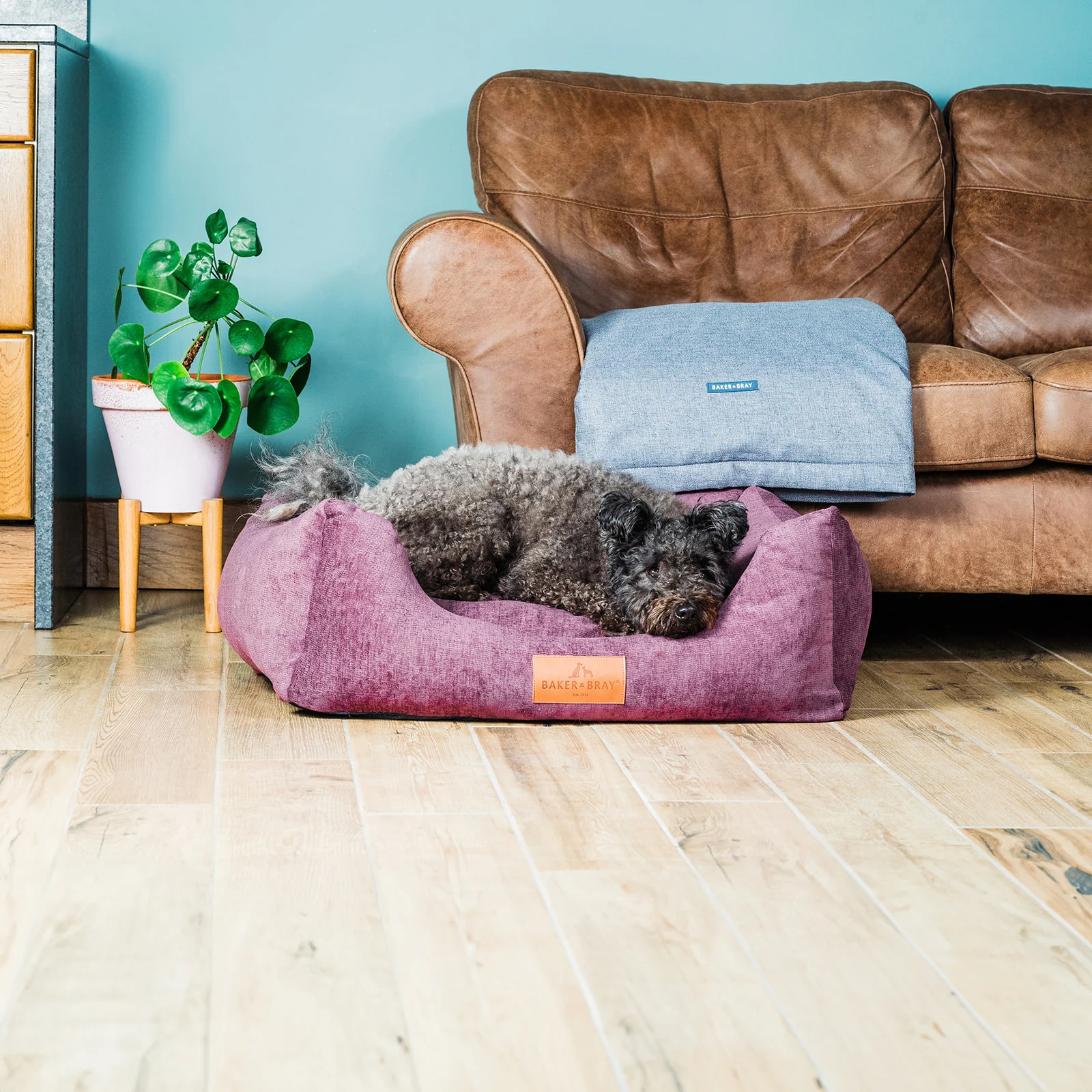 The Ultimate - Eco Friendly Orthopaedic Luxury Dog Bed, Rhubarb Red - Image 17