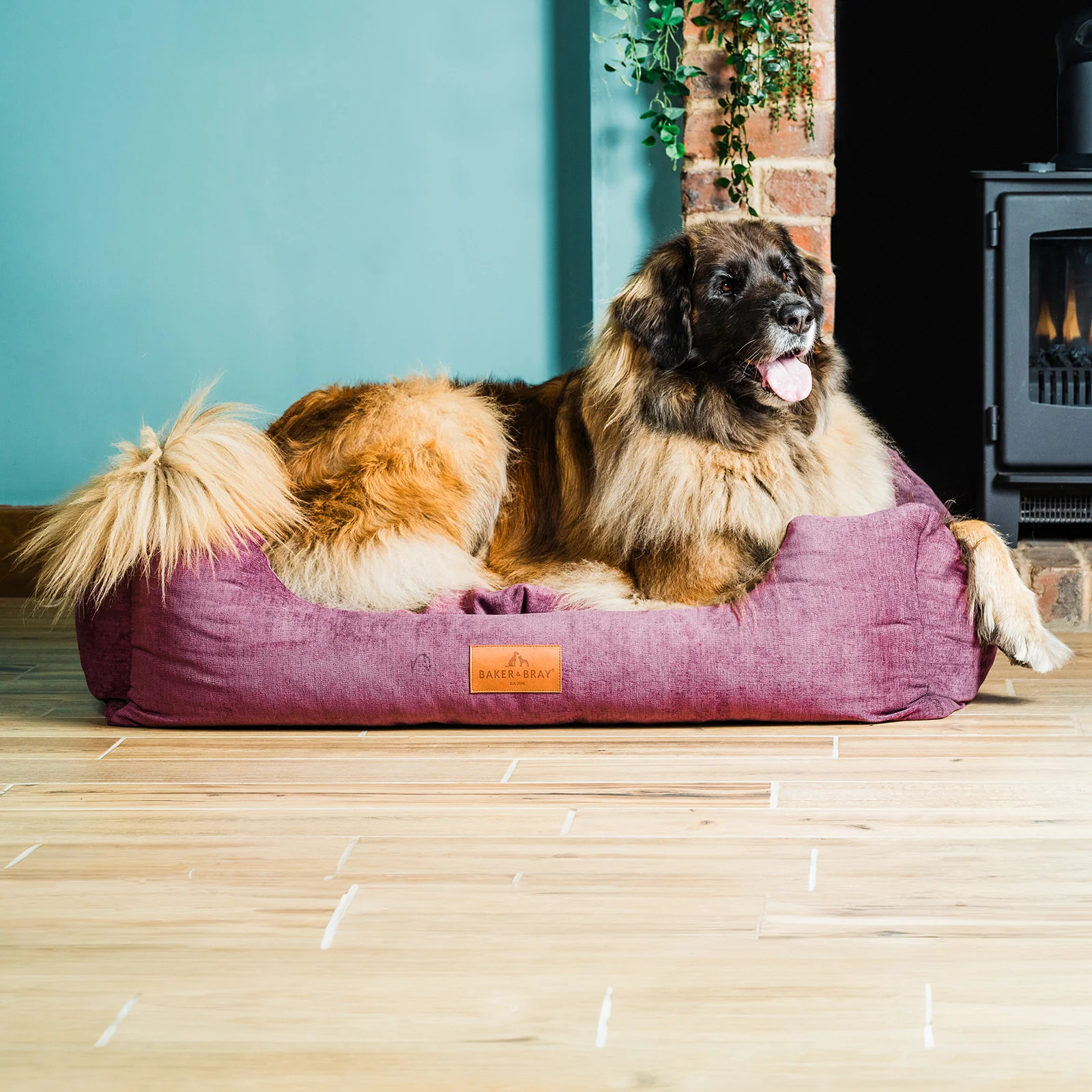 The Ultimate - Eco Friendly Orthopaedic Luxury Dog Bed, Rhubarb Red - Image 18