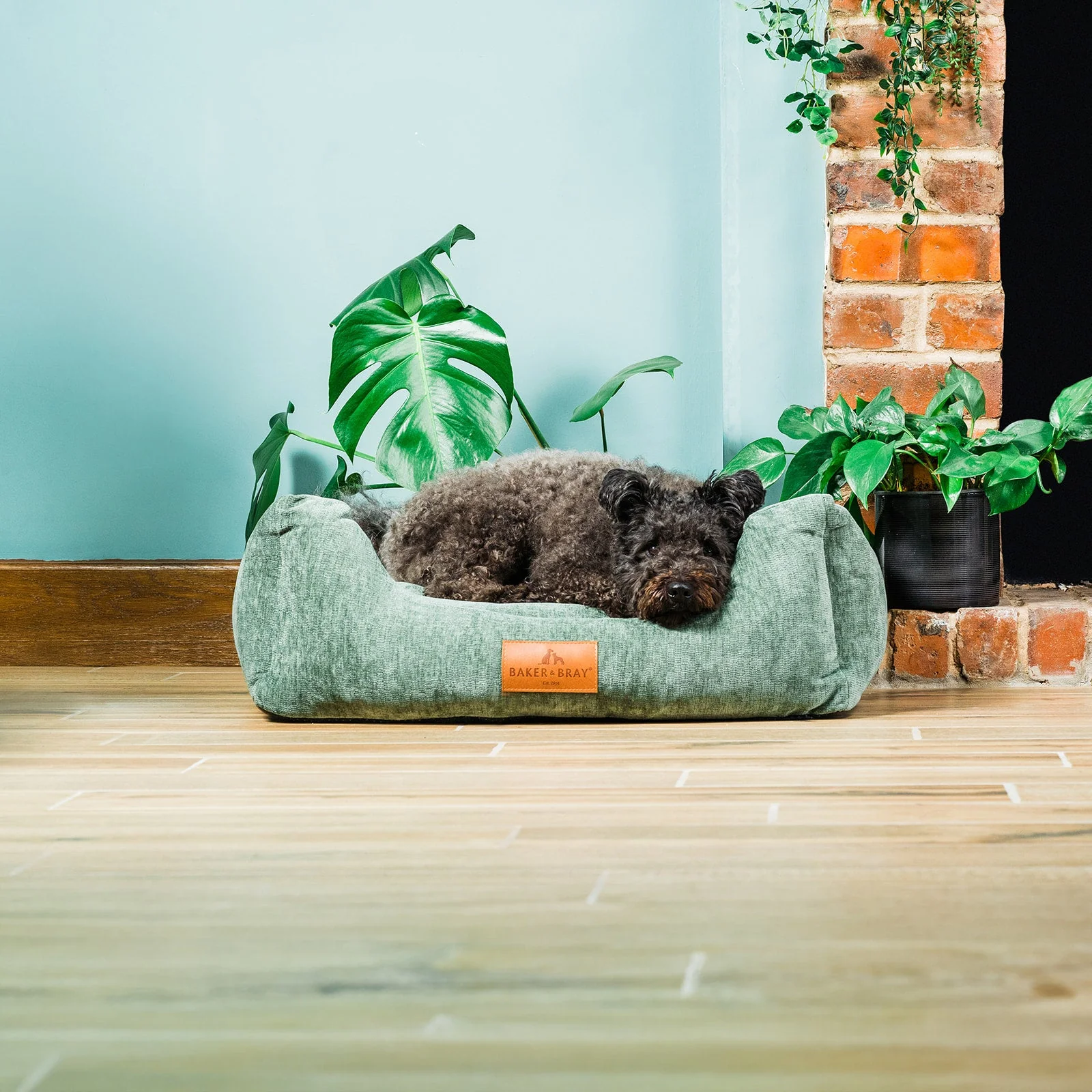 The Ultimate - Eco Friendly Orthopaedic Luxury Dog Bed, Sage Green - Image 15