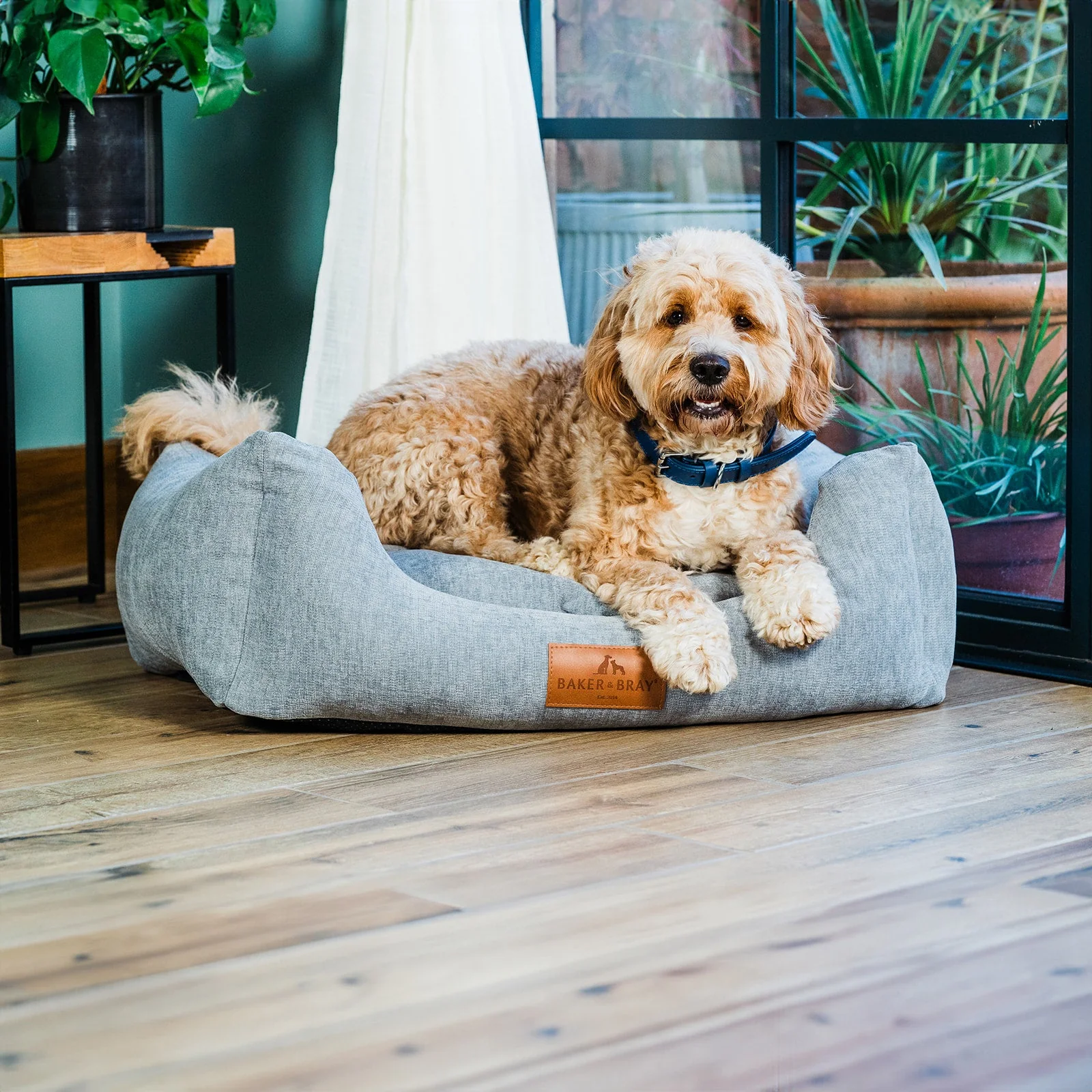Premium Dog Beds