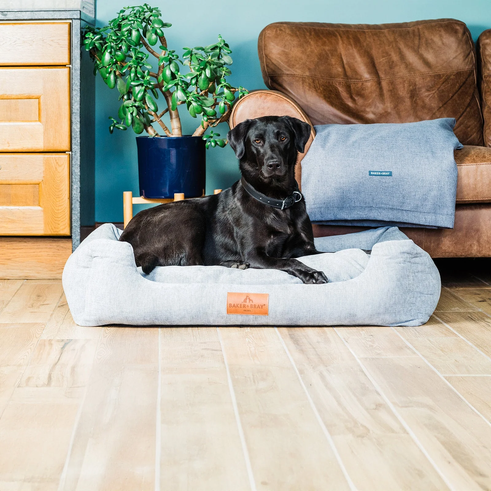 The Ultimate - Eco Friendly Orthopaedic Luxury Dog Bed, Stone Grey - Image 15