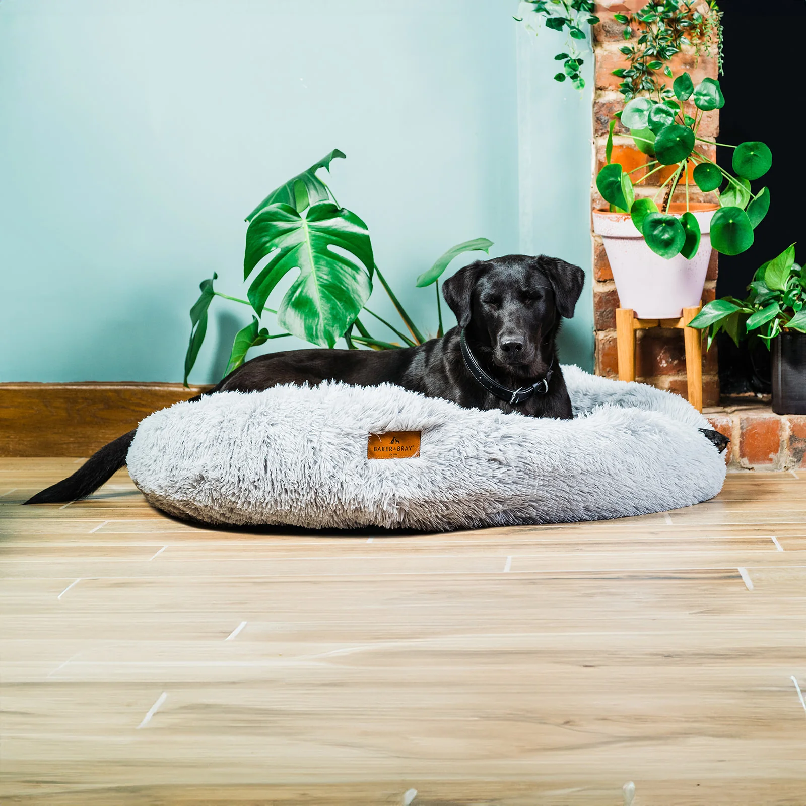 The Donut - Eco Friendly Luxury Calming Donut Dog Bed, Light Grey - Image 11