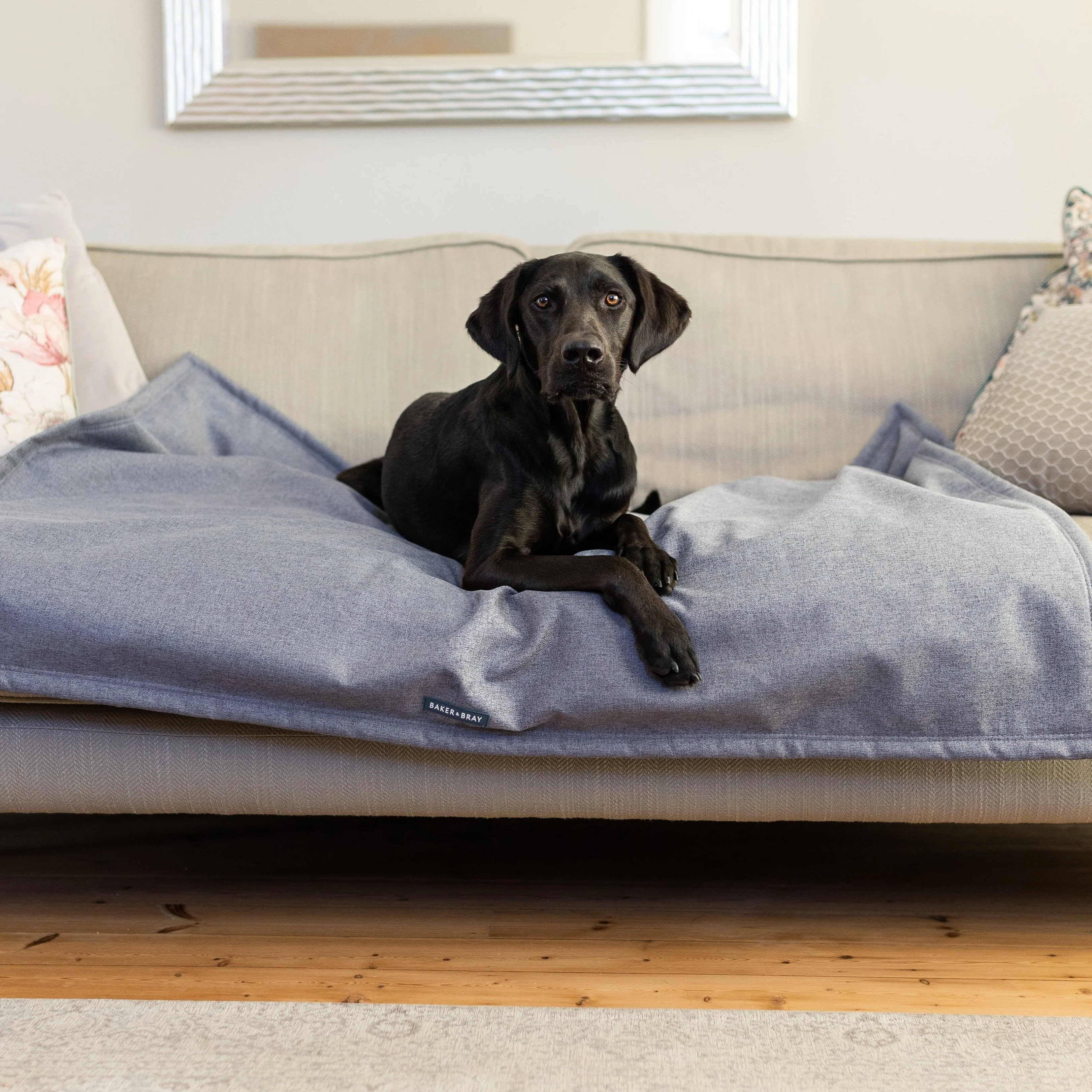 Luxury Temperature Regulating Throw Dog Blanket - Image 6